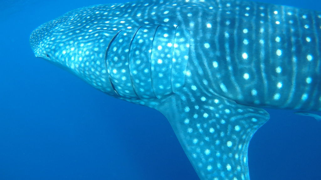 dfae3ab6-3502-4583-9d56-121d9143b5d3