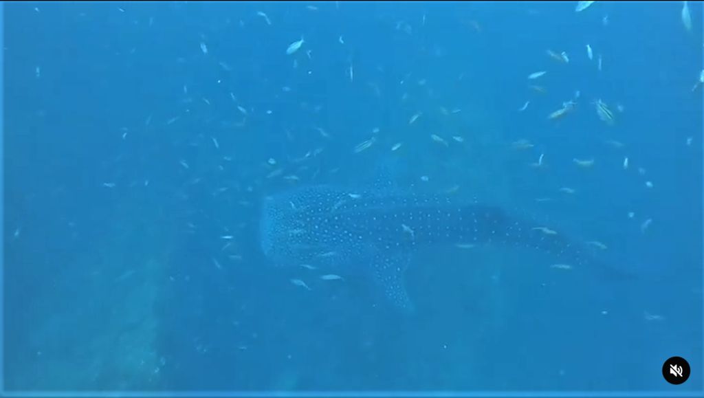 bf2f5485-6593-41d3-ae4b-94e79bfec347