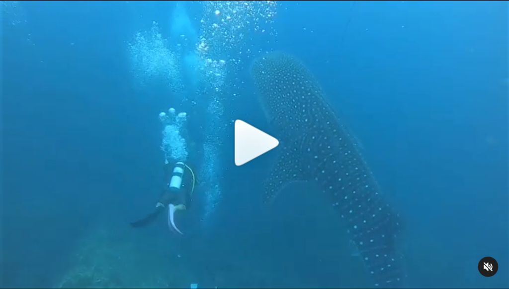 bf2f5485-6593-41d3-ae4b-94e79bfec347