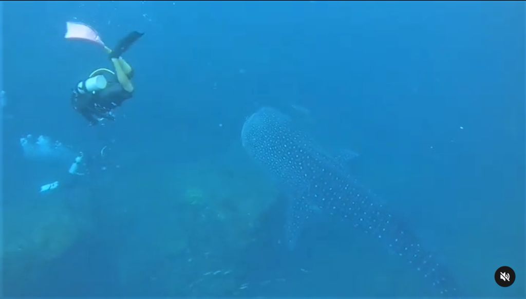 bf2f5485-6593-41d3-ae4b-94e79bfec347