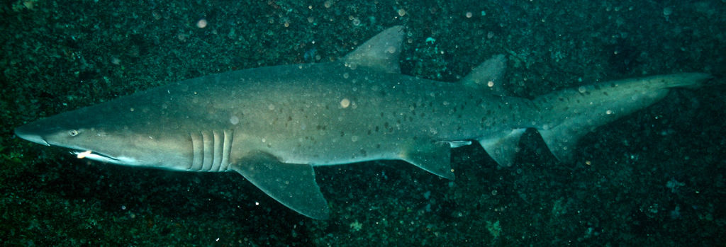 6173cbc3-497f-4a6d-981d-3c1f883ace94