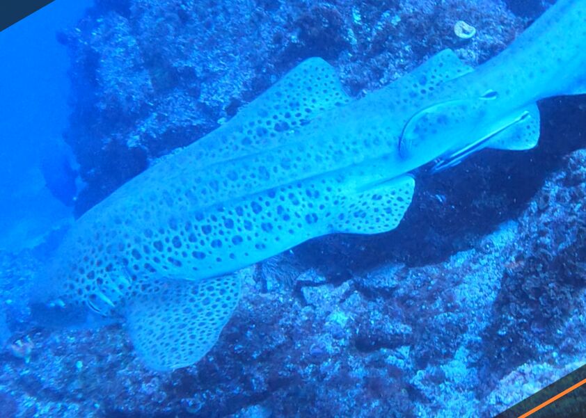 f09d9870-7c79-4cf2-b71c-9cd222186569