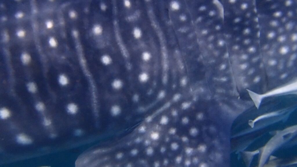 ccf99982-4a88-4b4b-8a66-3d749c97555c