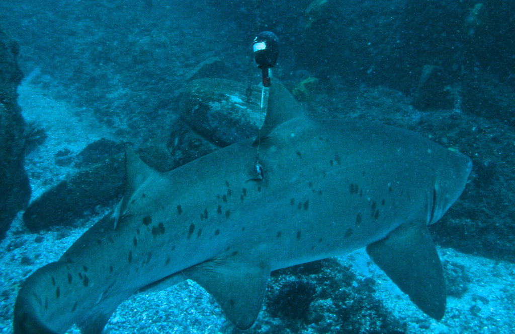 7b47ae73-3a27-4484-82e4-eebb414a4732