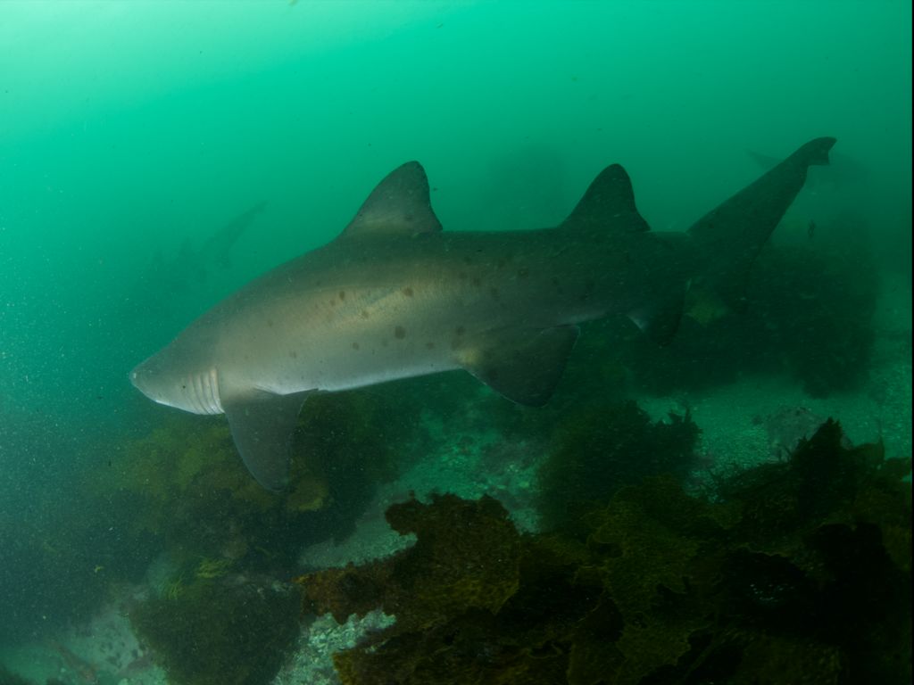 b76134eb-cd40-4150-b601-9d9a5445a540