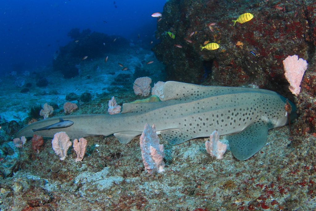 3df2fa38-5c70-4fe8-aa56-9b7e79f0c0af