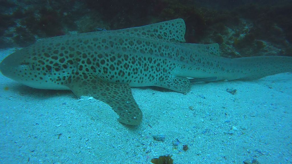 11f62a93-99a3-4254-b373-e55677bc372f