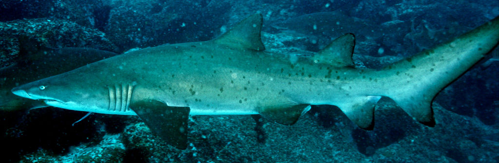 8e434f8a-f790-4651-8dac-8c37e0a7feb9