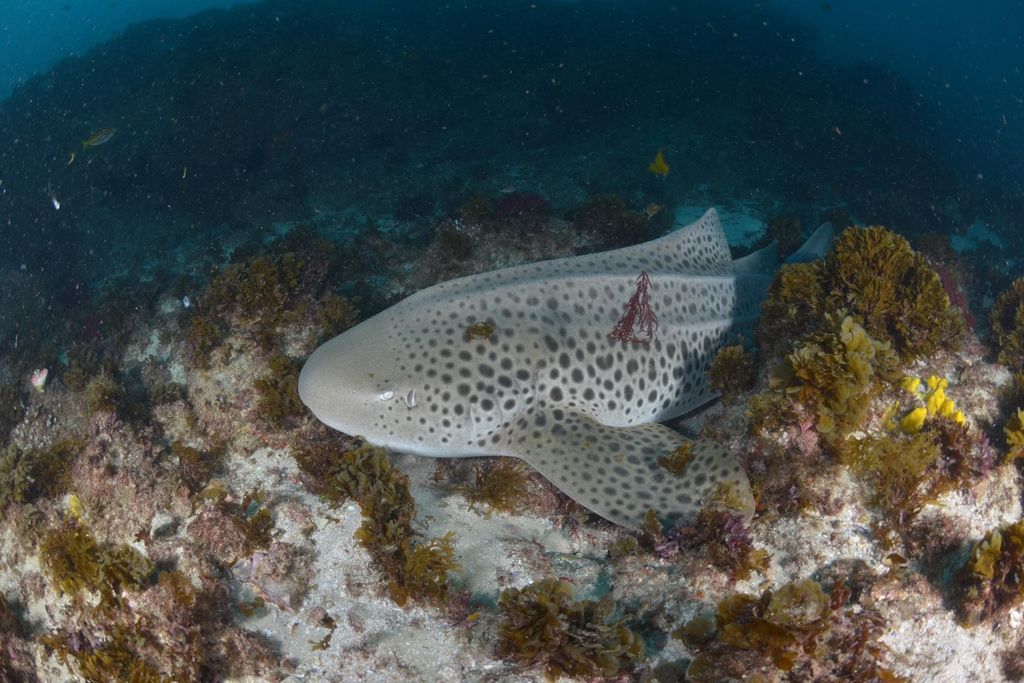 acd03c52-988d-4da4-a4f7-96db95a27af6