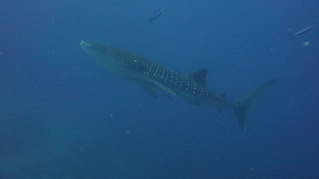 5d39aa51-8e03-4b7b-b7c7-15dc1f6d10c3