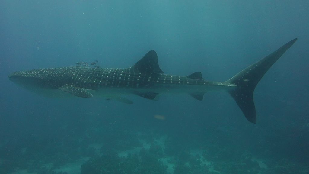 5d39aa51-8e03-4b7b-b7c7-15dc1f6d10c3