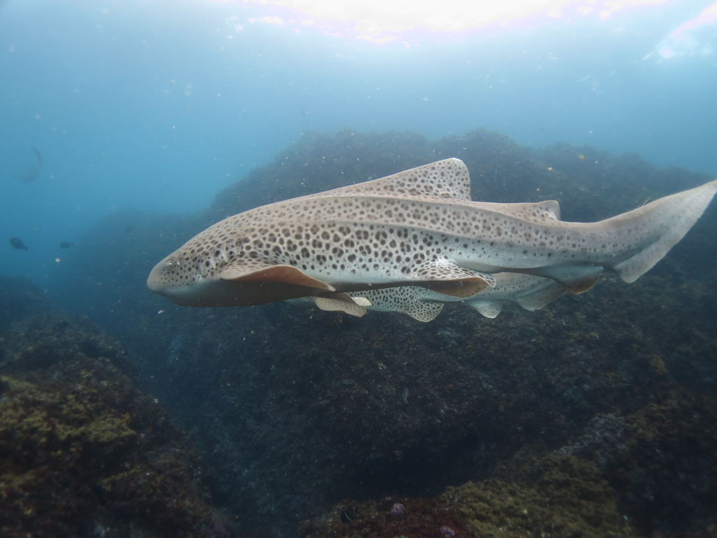 b7e14ee4-4f22-4d77-8138-28273b8a75d5