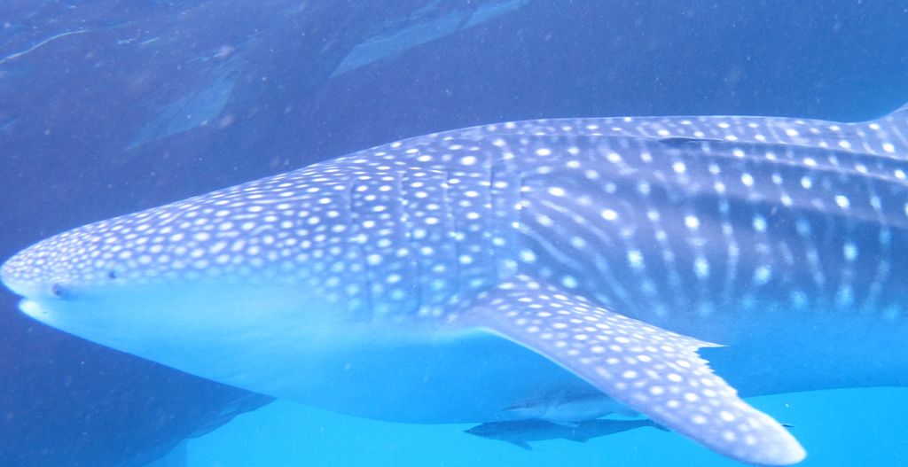 cdbfcbb4-d773-4afd-857a-121c8b0cfb87