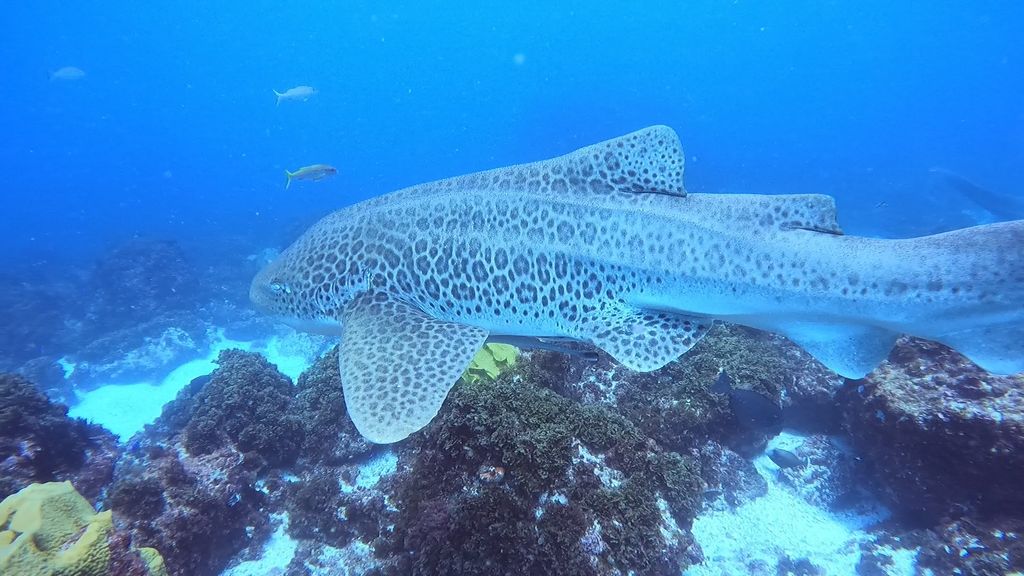 50df2b09-2869-4002-a78e-69ba8df70eb7