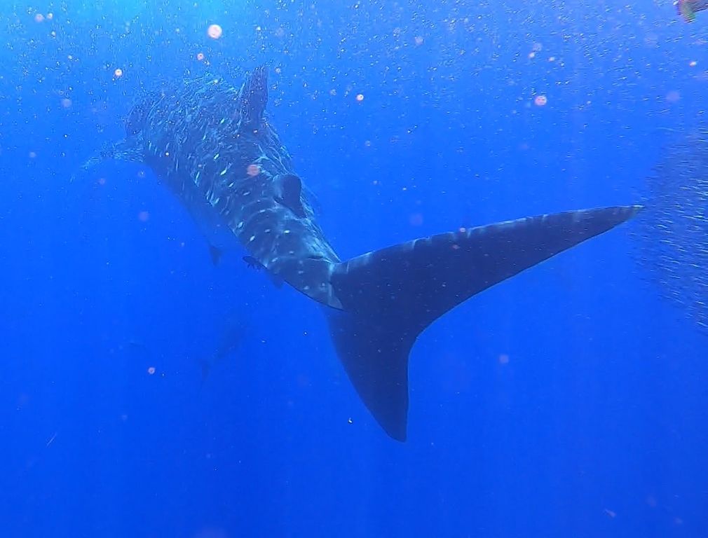 69353861-175c-4d0a-ad39-1b37f24090ef