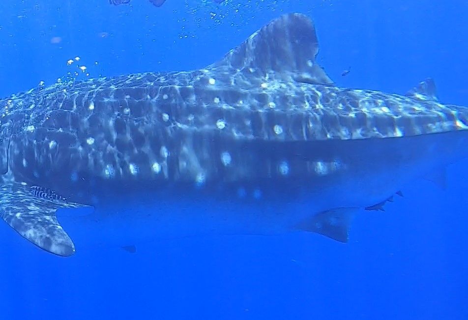 69353861-175c-4d0a-ad39-1b37f24090ef