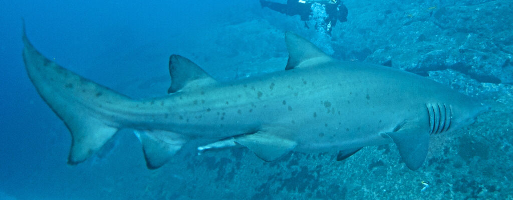 34bc83b2-8fdd-4deb-9955-687acc269c3a