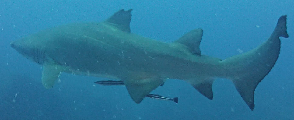 27ee1bf8-e2db-4e3d-ad14-2d82d4387583