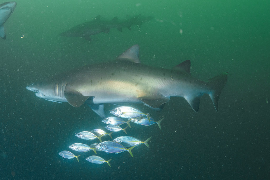 ab36506e-695b-418c-b1cc-33ea9821d41d