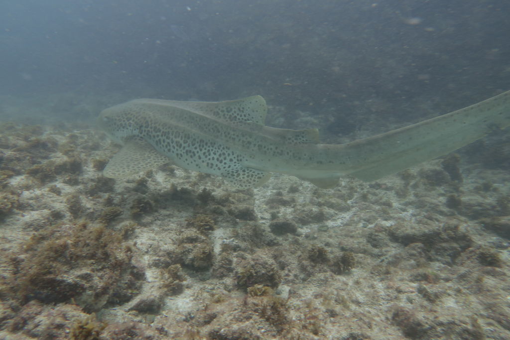 6b7d1fb2-e18a-43ec-9823-3c0ac936ed9c