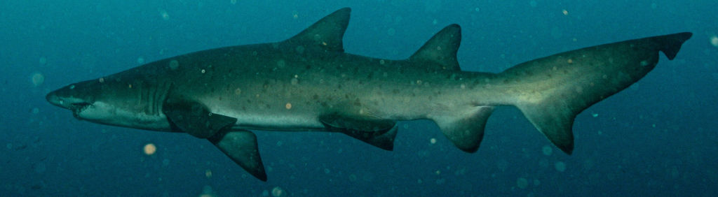 daee4caf-b665-4d4b-a54c-820ef706033d