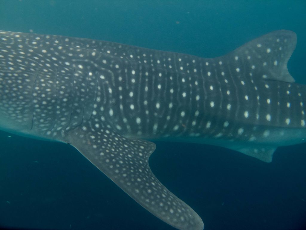 841729a7-1460-4637-bd13-4970d9c571d0