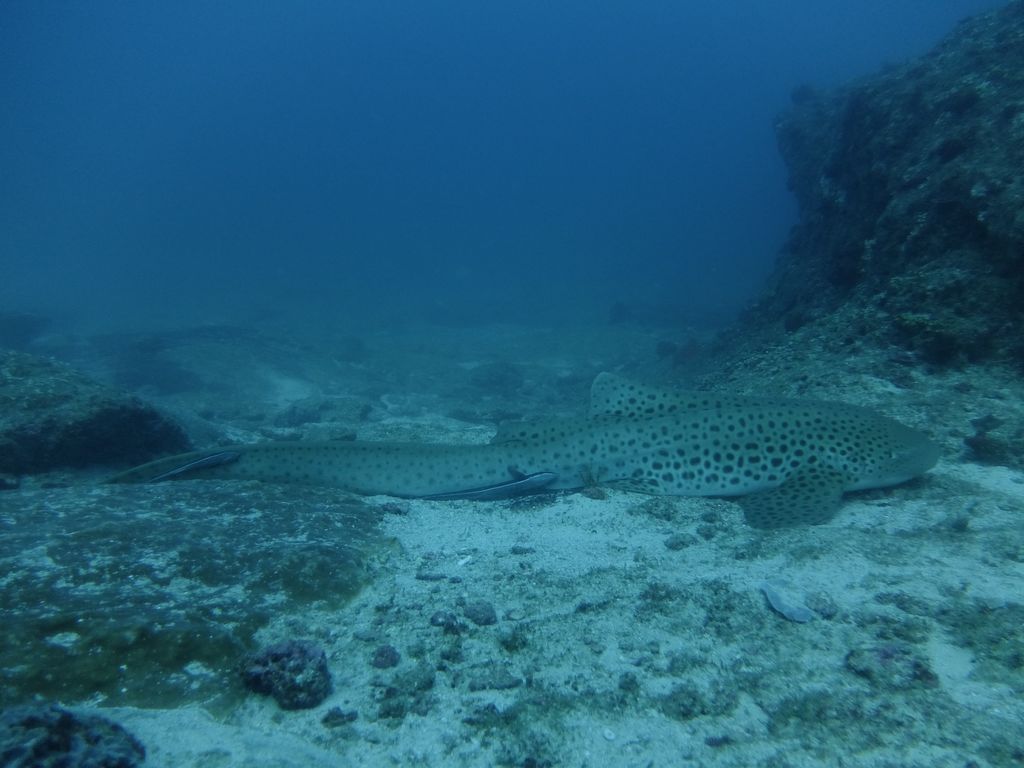 7fb7061e-bf2a-4b22-be13-cc38c0c33712