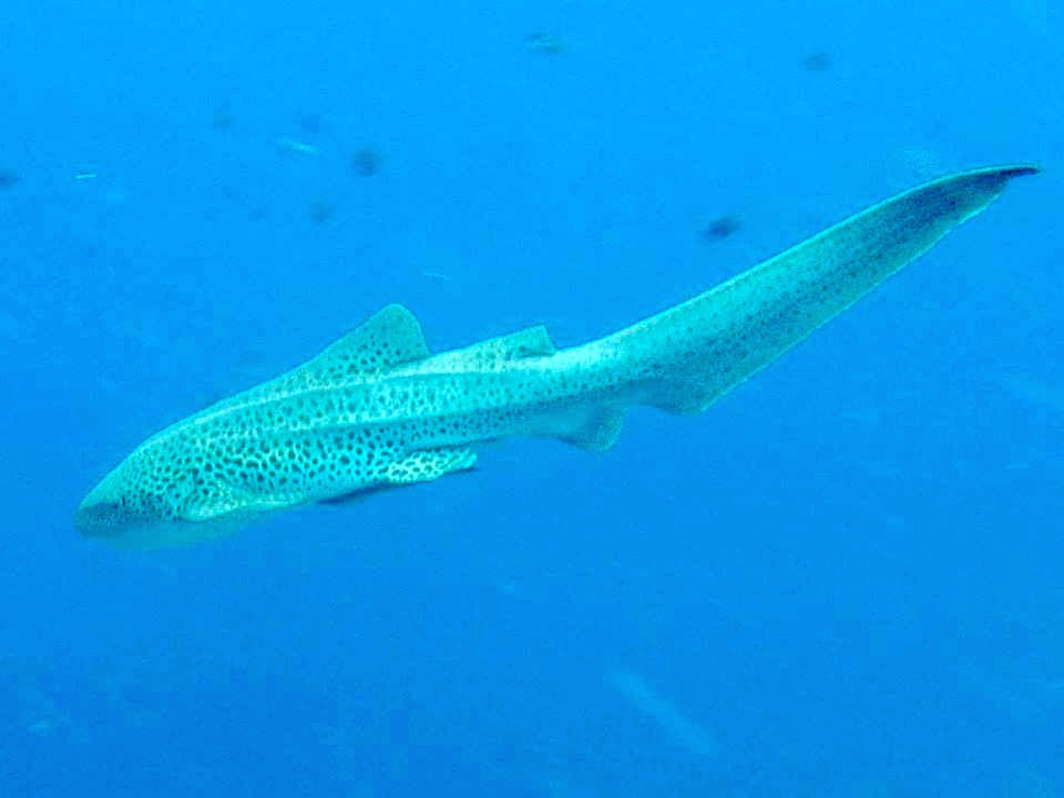 be358d0d-47f4-42f7-b584-108e0116618e