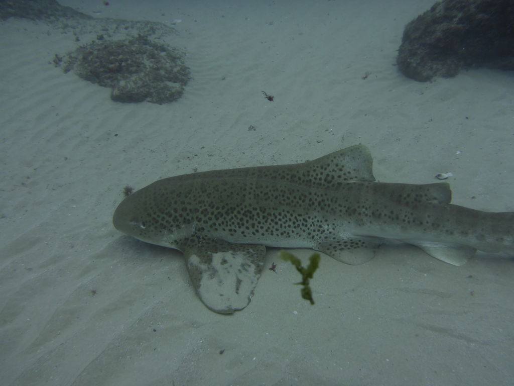 b9dab64d-1800-4405-b306-09ceaa47d84b