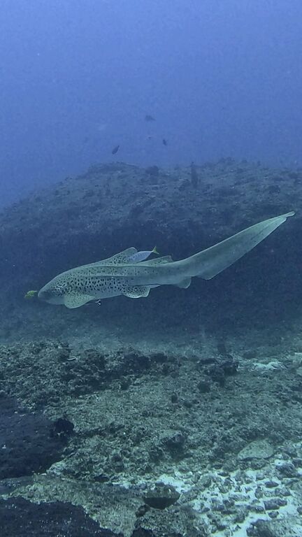 a8f4ce48-d627-4089-baa0-ada409ebddbb