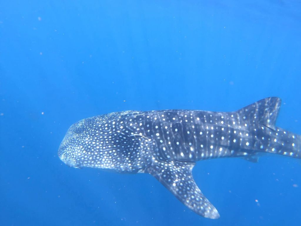 f661e9c0-edf6-4d9b-b4dd-fad387b7afa6