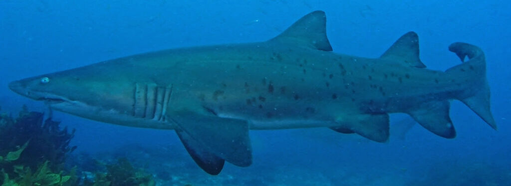 b1aa3b2f-9a74-4f79-af8c-27669424d683