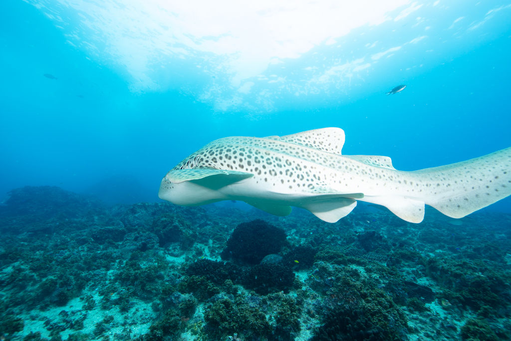 f019d730-e8b3-4040-965c-317fbd5d0860