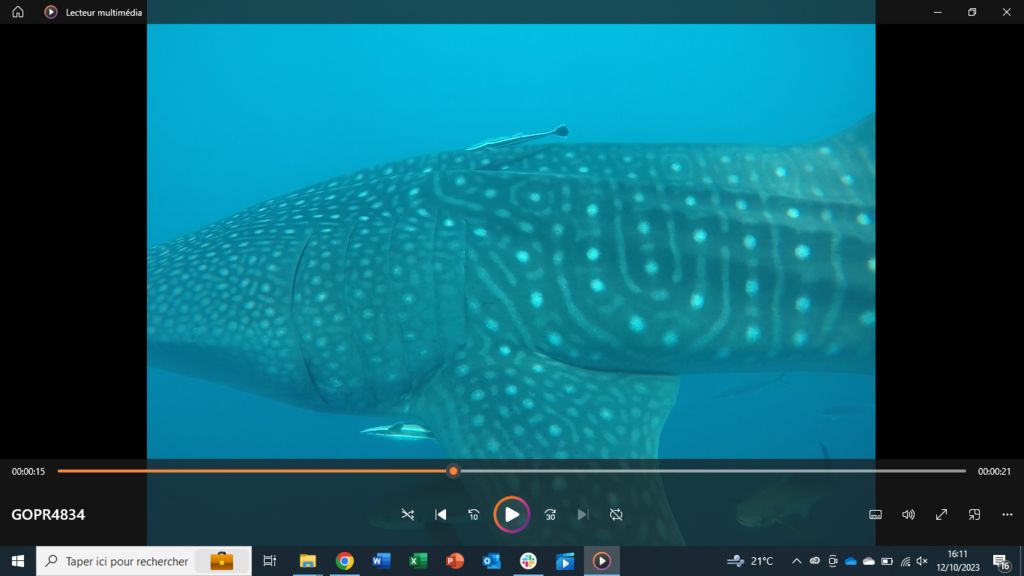 290f69f6-9d92-450f-86ea-6e6f99f60833