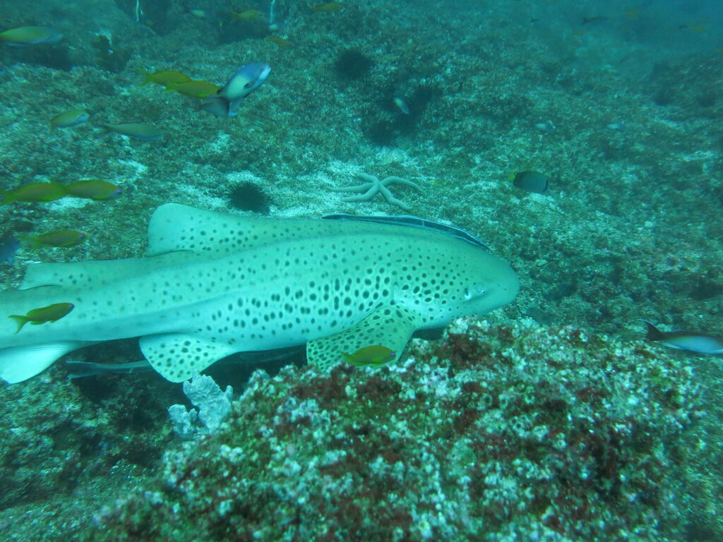 aaa8023f-c2b1-469a-a45b-2e9b7a399643