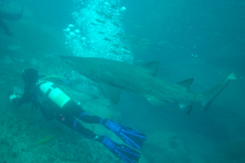 fd515a1a-f6cd-4c3c-b83a-6fd9376feac6