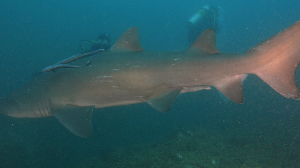 de4d74e2-7d5d-4593-83bd-fe83fcb50368