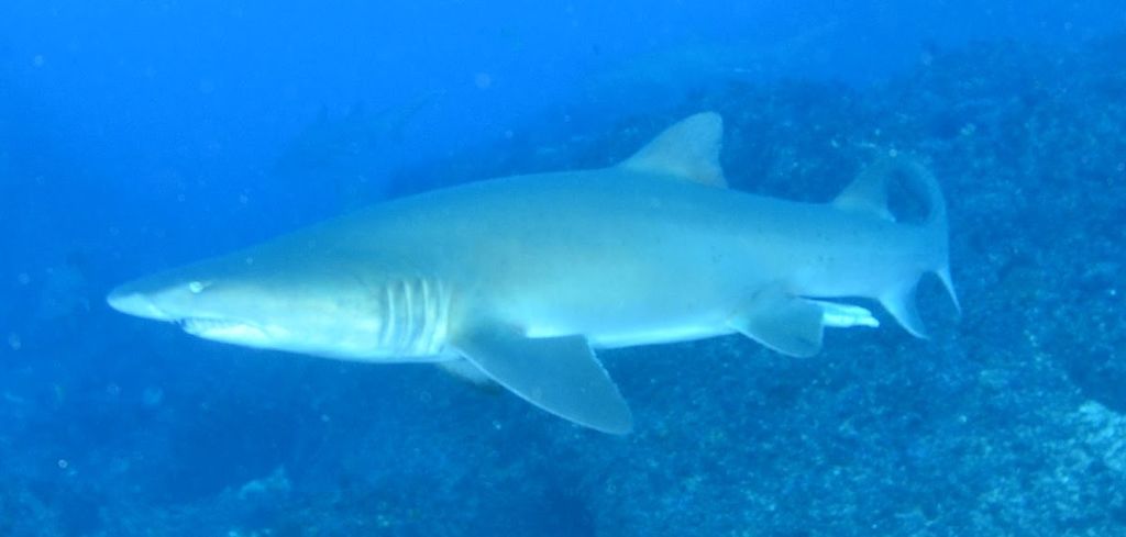 f12f4b8c-5e58-4b81-9985-5aca1a07c02e