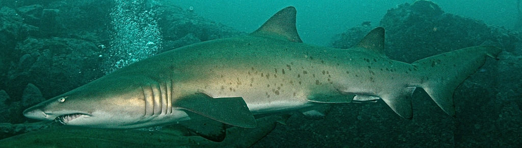 770056be-777c-4385-b4b7-7d89a7ed0e88