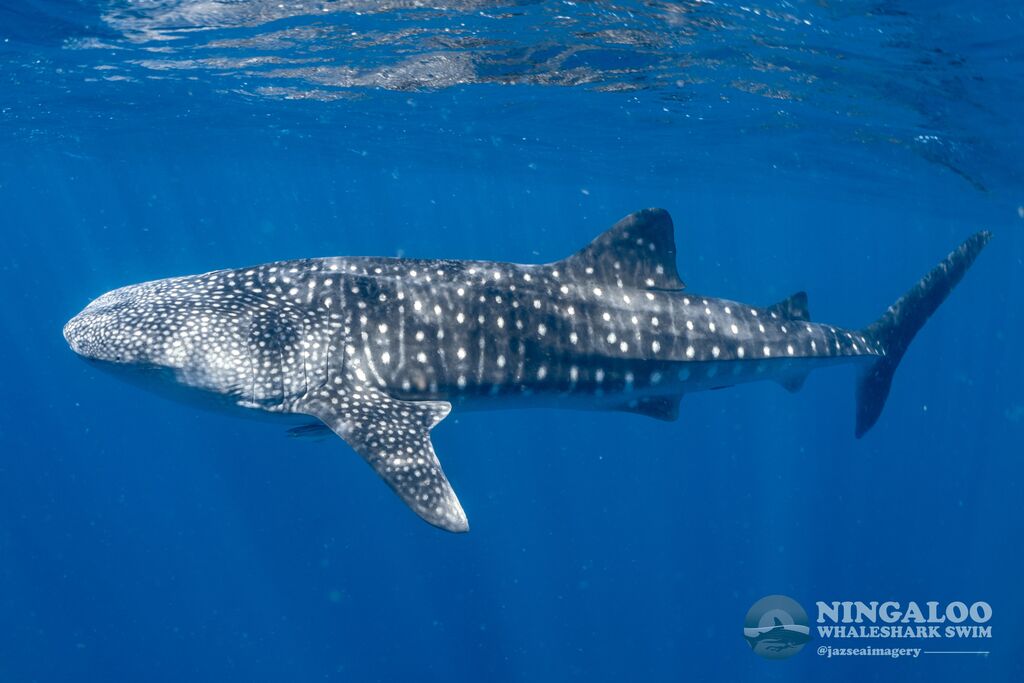 a63c0fc3-b99b-4c2c-afdf-6466e8f34706