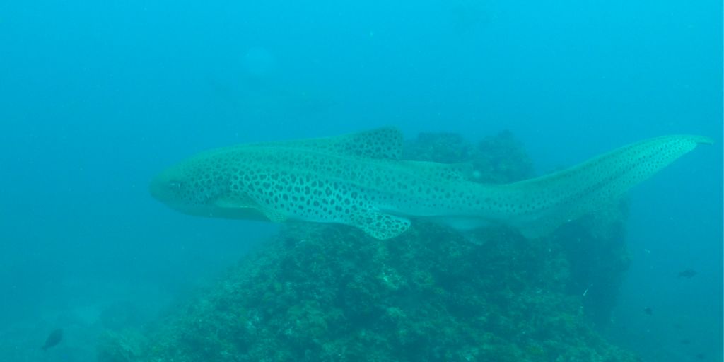 91d2a2ce-13ba-4ebe-b62b-7b579133a35e