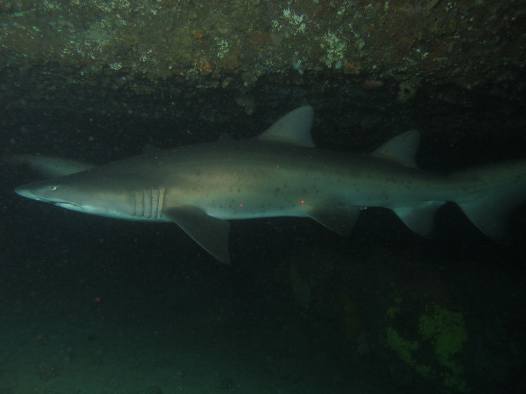 4fa2b1a7-1deb-4d03-a342-926ea8b99017