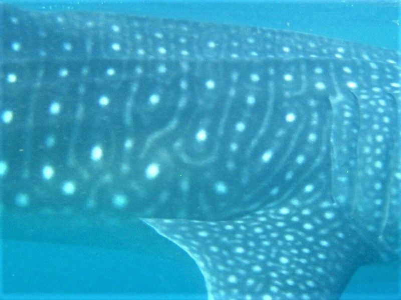 63f2aa2a-81c9-4b43-8d6a-52a1f8a0a4c5