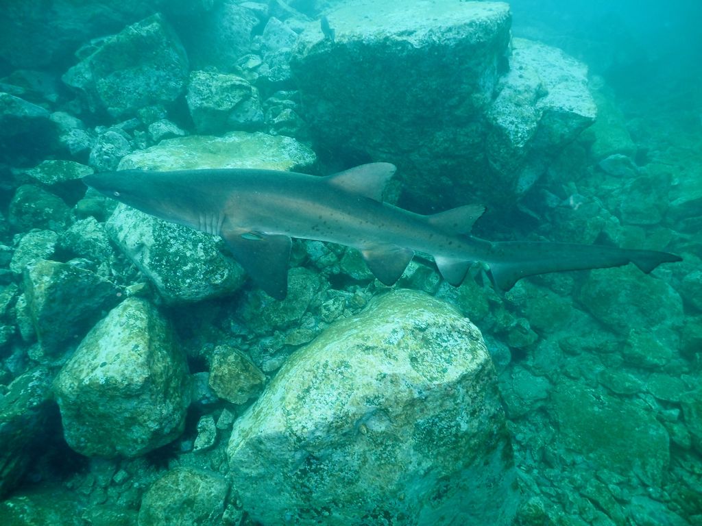 335b6de0-5625-4fb6-a7af-e7291887cfca