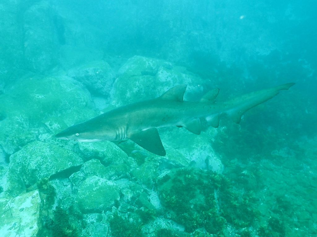 335b6de0-5625-4fb6-a7af-e7291887cfca