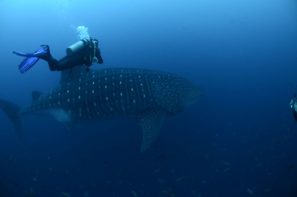 8c16aa11-c889-49c3-a17f-b47702d562d8