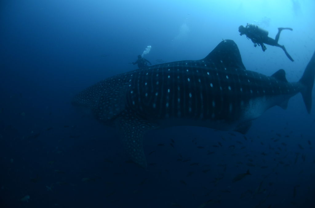 8c16aa11-c889-49c3-a17f-b47702d562d8