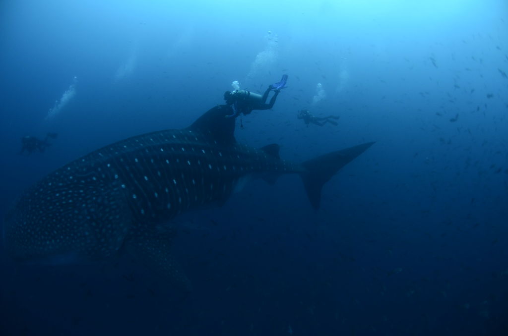 8c16aa11-c889-49c3-a17f-b47702d562d8