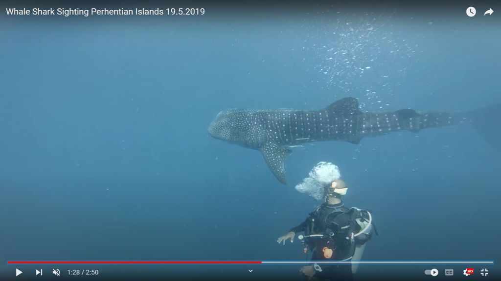 28bd1ae2-13d7-42cf-a5ad-de932afa3bb0