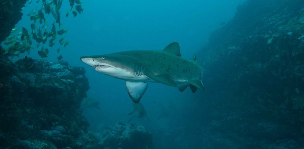 16ef553c-12af-4626-b17a-88d26d8ad85e